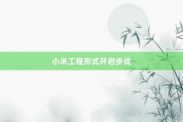 小米工程形式开启步伐