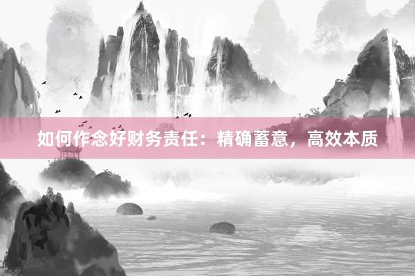 如何作念好财务责任：精确蓄意，高效本质