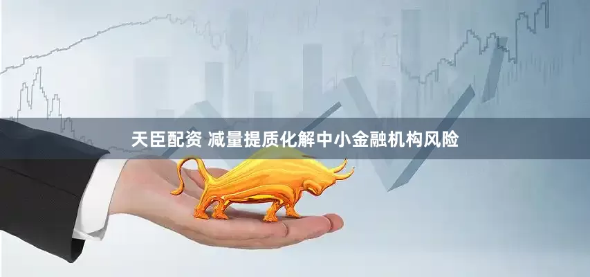 天臣配资 减量提质化解中小金融机构风险